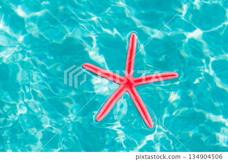 Red starfish floating on clean turquoise water 134904506