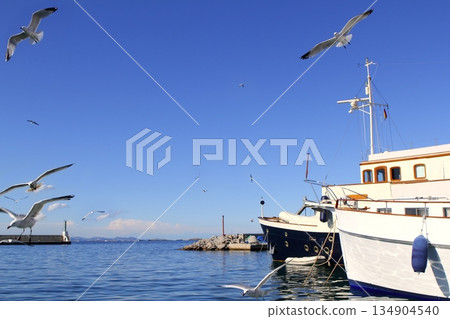 flying seagulls on Formentera port summer 134904540