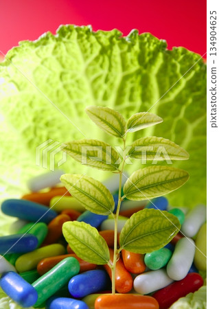 growing inside a cabbage leaf growing inside a cabbage leaf 134904625