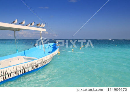 blue boat seagulls Caribbean turquoise sea 134904670