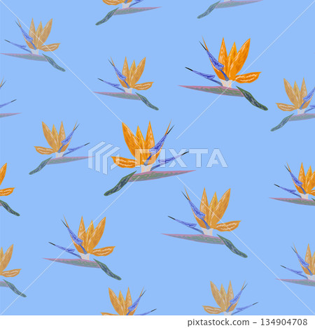 Orange Strelitzia flower pattern design with leaves and stem. Hawaiian beach vacation 134904708