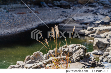 愛吉隧道秋季特別開放 愛吉隧道秋季特別開放 134905005