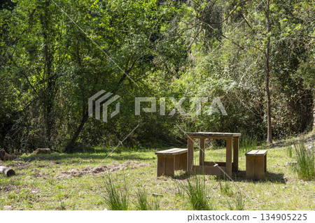 picnic area with wooden furniture in the middle of the natural park 134905225