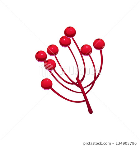 Merry Christmas cartoon holly berry decoration or object. Winter holiday plant decoration, merry Christmas festive vector element. Xmas celebration isolated holly or rowan tree red berries Merry Christmas cartoon holly berry decoration or object. Winter holiday plant decoration, merry Christmas festive vector element. Xmas celebration isolated holly or rowan tree red berries 134905796