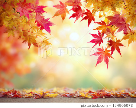 秋葉美景，背景是飄落的楓葉。 134906078