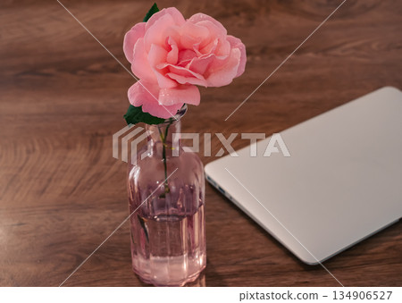 home office aesthetic: pink rose in glass vase decorating a wooden desk with technology 134906527