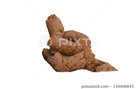 poop isolated 134906645