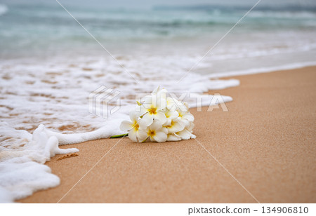Plumeria on the sand Plumeria on the sand 134906810