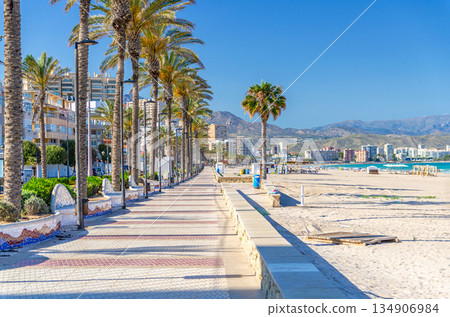 Playa de San Juan beach Costa Blanca coastline 134906984