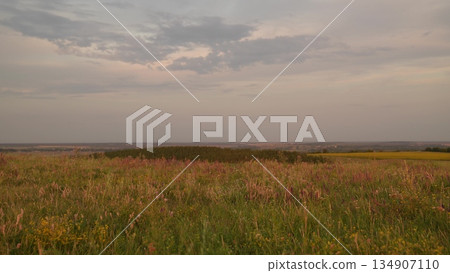 Summer field at sunset, scenic countryside landscape, wildflowers in the meadow, evening sky with clouds, peaceful rural view, tranquil nature background, green grass and distant horizon, soft pastel 134907110