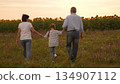 Family mother father man woman parent walking through field with child sunflowers at sunset, Happy family time girl child outdoors, Parents holding hands with child, Sunset walk in countryside in 134907112