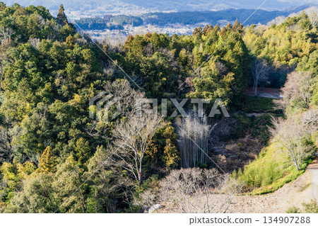 Scenery around the Naegi Castle ruins in late autumn 134907288