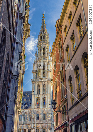 Town Hall Brabantine Gothic style building Town Hall Brabantine Gothic style building 134907383
