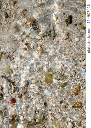 透過清澈的水面可以看到珊瑚碎片_垂直 134907428