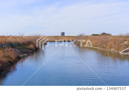 Edogawa, Matsudo City, Chiba Prefecture December 2025 134907537