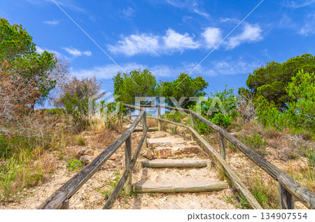 Stone staircase and wooden fence leading up to hill with green grass, bushes and trees in Serra Gelada natural park in summer day, Valencian Community, Spain 134907554
