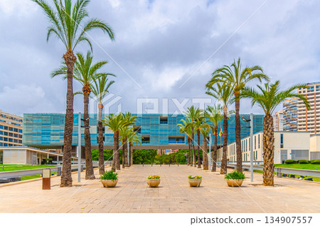 Ajuntament de Benidorm City Hall building on square, palms in L'Aiguera Parc Park in Old town Benidorm city historic centre in summer day, Benidorm Town Hall floorscraper, Valencian Community, Spain Ajuntament de Benidorm City Hall building on square, palms in L'Aiguera Parc Park in Old town Benidorm city historic centre in summer day, Benidorm Town Hall floorscraper, Valencian Community, Spain 134907557