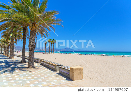 Playa San Juan beach in Alicante city Playa San Juan beach in Alicante city 134907697