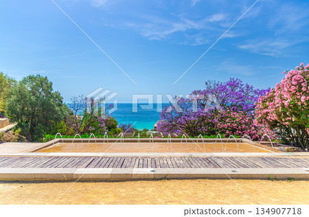 Alicante city historical centre 134907718