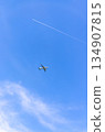 Airplane takes off into a blue sky 134907815