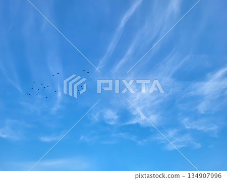The background is a bright blue sky with thin white cirrus clouds The background is a bright blue sky with thin white cirrus clouds 134907996