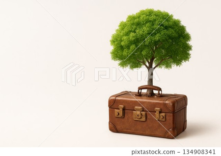 A green tree growing from an old suitcase on a light background. Space for text. A green tree growing from an old suitcase on a light background. Space for text. 134908341