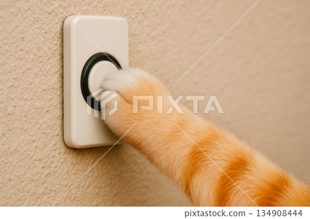 The cat's paw presses the doorbell. 134908444