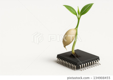 A seed with a sprout sprouting from a microchip. Space for text. 134908455