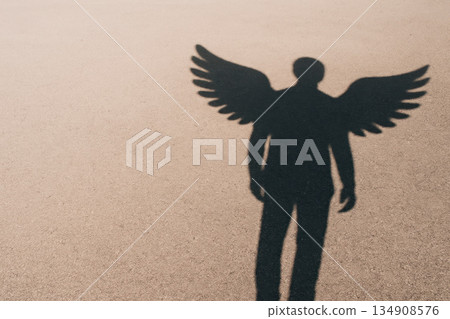 The shadow of a man with angel wings. Space for text. 134908576