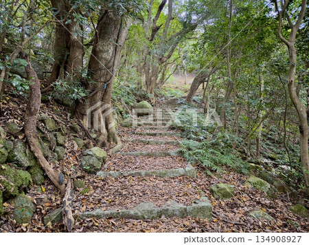 An old stone-paved mountain path remaining in a quiet rural area 134908927