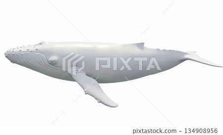 白鯨 134908956