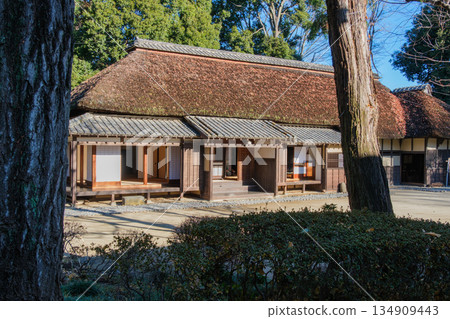 Tree shadow of an old folk house 134909443