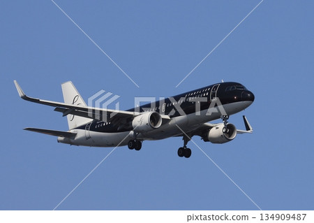 以夏日天空為背景的客機著陸:星航飛機正在進場 以夏日天空為背景的客機著陸:星航飛機正在進場 134909487