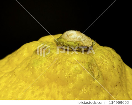 Macro Close-Up of Lemon Skin and Stem - Bright Yellow Citrus Fruit Texture 134909603