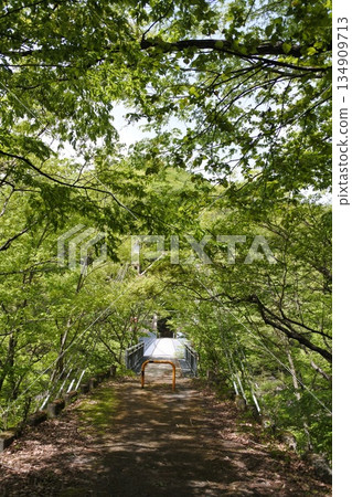 Ryuokyo Gorge, Kinugawa River, walking trail, road, path 134909713