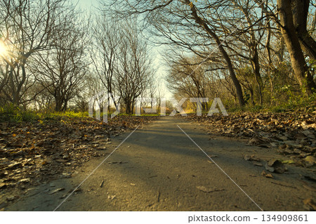 鄉村小路 鄉村小路 134909861