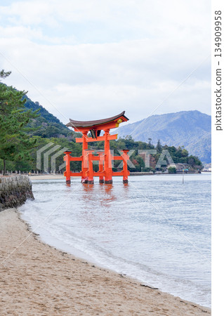 Miyajima, one of Japan's Three Most Viewed Islands and a World Heritage Site (Hiroshima Prefecture, photographed in December 2025) 134909958