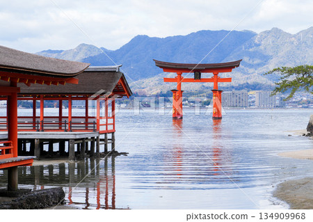 宮島，日本三大最受遊客歡迎的島嶼之一，也是世界遺產（廣島縣，攝於2025年12月） 134909968