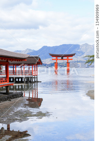 Miyajima, one of Japan's Three Most Viewed Islands and a World Heritage Site (Hiroshima Prefecture, photographed in December 2025) 134909969