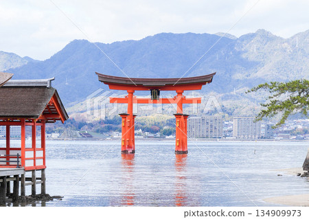 宮島,日本三大最受遊客歡迎的島嶼之一,也是世界遺產(廣島縣,攝於2025年12月) 宮島,日本三大最受遊客歡迎的島嶼之一,也是世界遺產(廣島縣,攝於2025年12月) 134909973