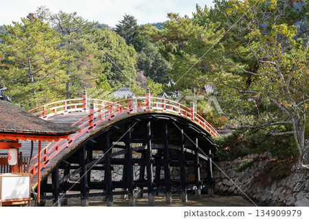 宮島,日本三大最受遊客歡迎的島嶼之一,也是世界遺產(廣島縣,攝於2025年12月) 宮島,日本三大最受遊客歡迎的島嶼之一,也是世界遺產(廣島縣,攝於2025年12月) 134909979