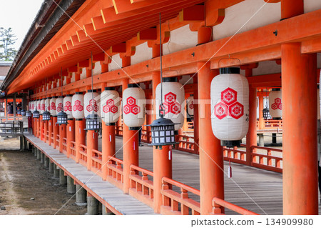 Miyajima, one of Japan's Three Most Viewed Islands and a World Heritage Site (Hiroshima Prefecture, photographed in December 2025) Miyajima, one of Japan's Three Most Viewed Islands and a World Heritage Site (Hiroshima Prefecture, photographed in December 2025) 134909980