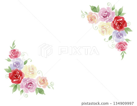 Watercolor rose background material 134909997