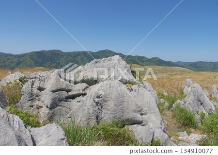Akiyoshidai Jigokudai limestone 134910077