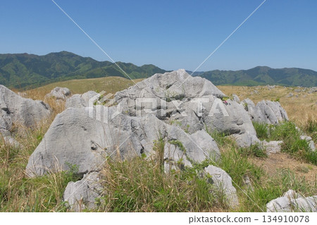 Akiyoshidai Jigokudai limestone 134910078