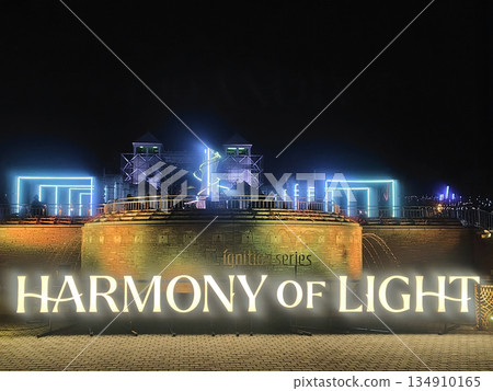 Gunma Flower Park Plus Light-up Event 134910165
