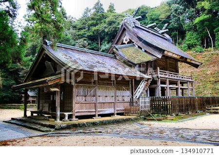 大場的大宮先生和新玉先生...日本最古老的大社建造的國寶,正殿【金玉神社】 大場的大宮先生和新玉先生...日本最古老的大社建造的國寶,正殿【金玉神社】 134910771