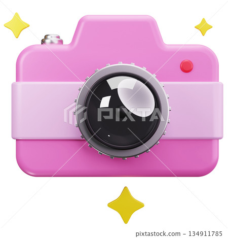 Pink Festive Camera 134911785