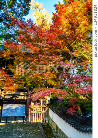 天佑寺的紅葉【長崎縣諫早市】 134911824