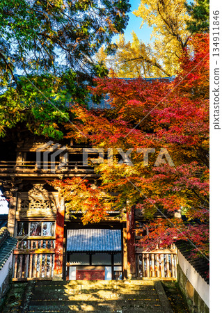 Autumn leaves at Tenyuji Temple [Isahaya City, Nagasaki Prefecture] 134911846